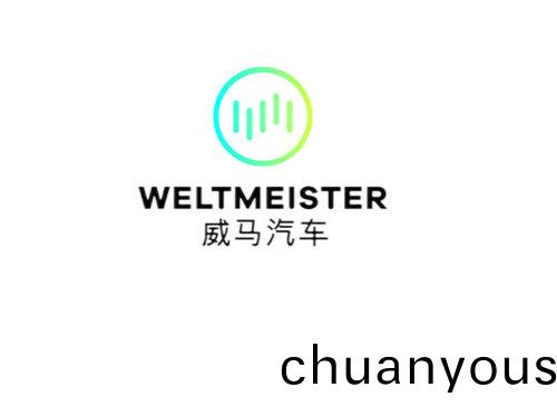 威馬汽車